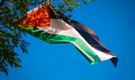 Palestina visto desde América Latina – Encartes vol 8 num 15 (2015)